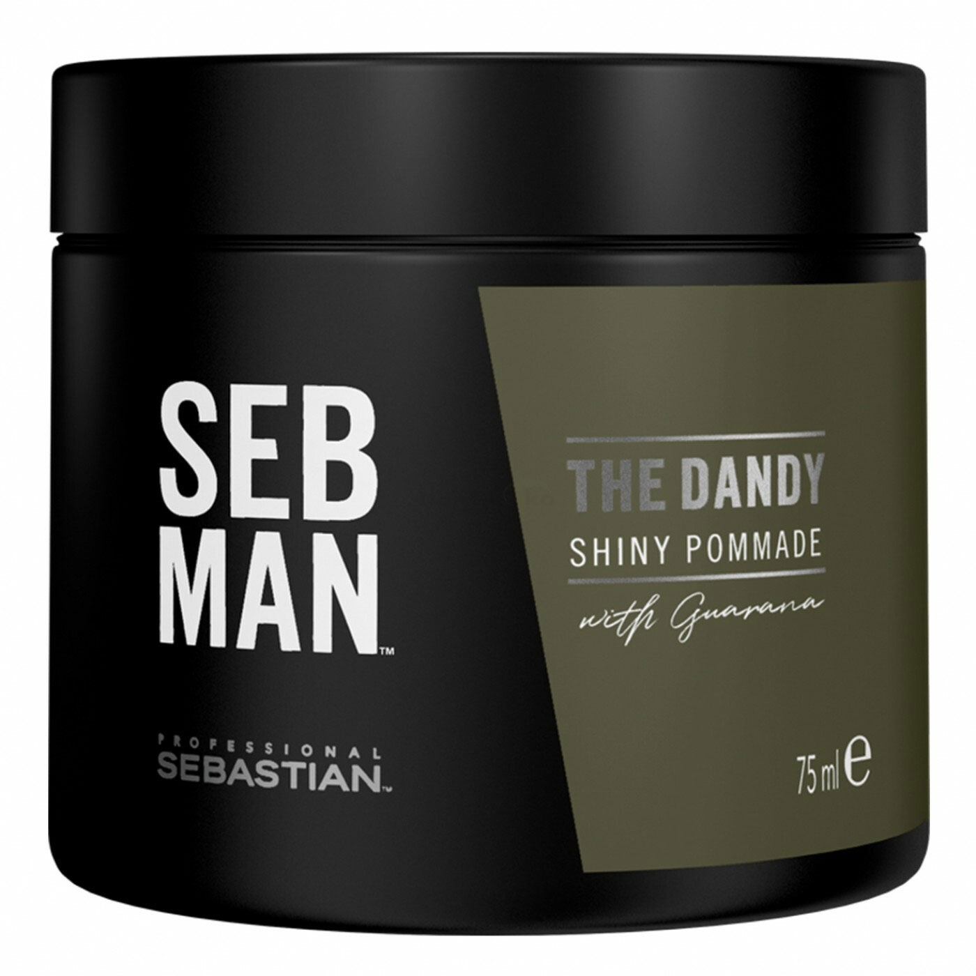Sebastian SEB MAN The Dandy Pomade mit leichtem Halt 75ml